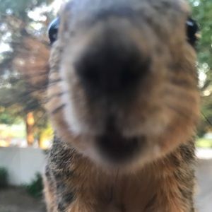 Meet your Posher, Brenda